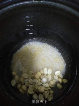 鲜莲子粥的做法步骤:7