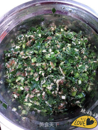麦蒿馅饺子的做法步骤:7