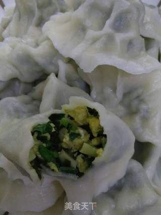 韭菜馅饺子的做法步骤:13