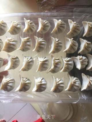 韭菜肉馅饺子的做法步骤:7