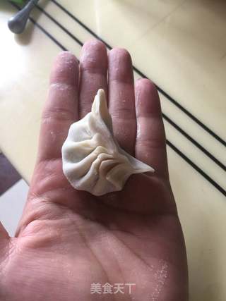 韭菜肉馅饺子的做法步骤:6
