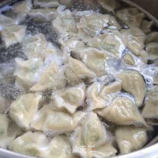 豇豆猪肉水饺的做法步骤:11