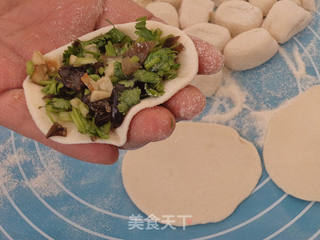 香菜菌菇馅水饺的做法步骤:7