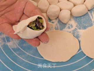 香菜菌菇馅水饺的做法步骤:8