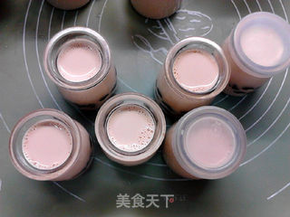 红茶酸奶的做法步骤:9
