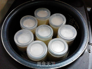红茶酸奶的做法步骤:12