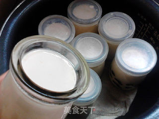 红茶酸奶的做法步骤:15