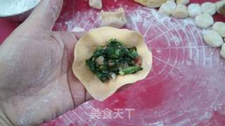 南瓜青菜饺子的做法步骤:13