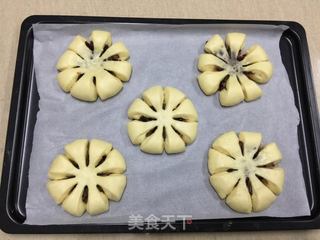 蔓越莓豆沙面包的做法步骤：16