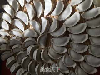 白菜肉水饺的做法步骤：9