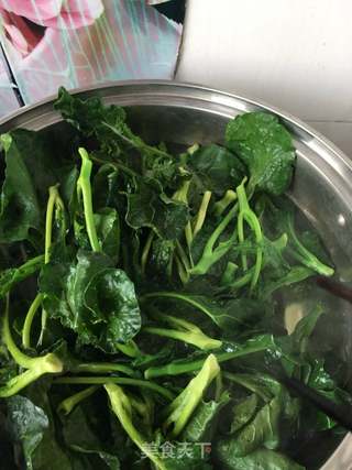 西兰花嫩芽海参肉包的做法步骤:8
