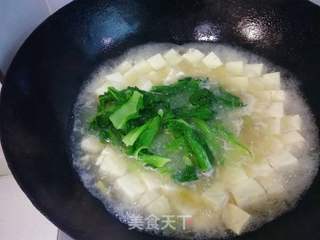 小白菜豆腐汤的做法步骤:9
