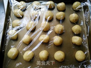 椰蓉蔓越莓月饼的做法步骤:9