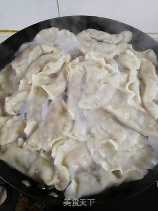 木耳韭菜猪肉饺子的做法步骤:9