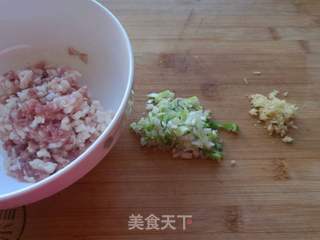黄酱肉丁包子的做法步骤:2