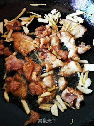 猪肉炖粉条的做法步骤:7