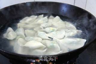 西葫芦韭菜鸡蛋馅水饺的做法步骤:7
