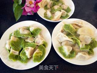 香菇胡萝卜肉馅饺子的做法步骤:8