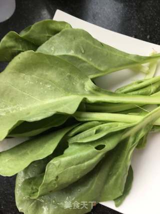 鲍鱼拌油菠菜的做法步骤：5