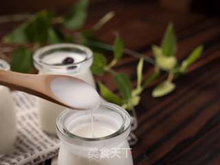 自制浓稠酸奶的做法步骤:10