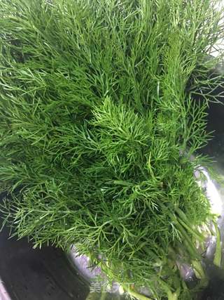 烤箱版茴香鸡蛋包子的做法步骤:3