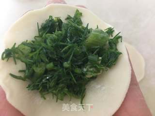 茴香鸡蛋水饺的做法步骤：7