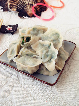 香菜猪肉馅水饺的做法步骤:9