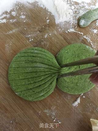 菠菜泥馒头的做法步骤:28