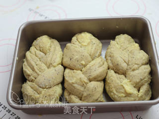伯爵红茶奶酥辫子包的做法步骤:19