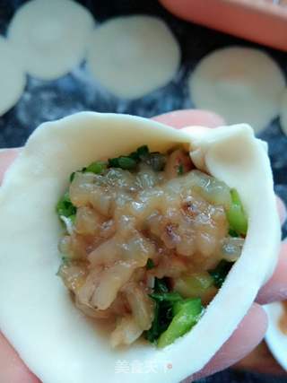 香菇青菜包的做法步骤:10