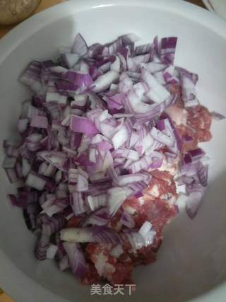 洋葱鲜肉饼的做法步骤:2