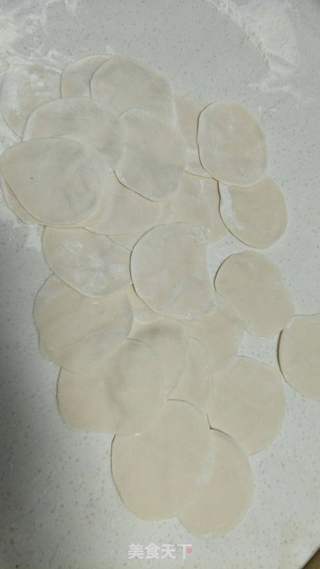 香菜肉水饺的做法步骤:4