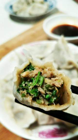 香菜肉水饺的做法步骤:8