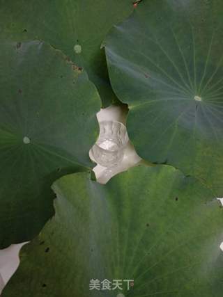 荷叶饭的做法步骤:4
