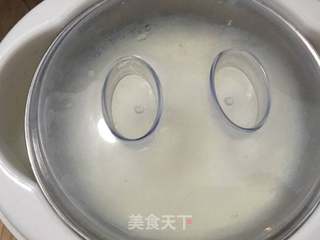 自制蜂蜜酸奶的做法步骤:6