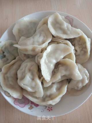 韭菜猪肉水饺的做法步骤:6