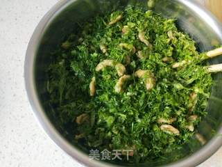 茴香蒸饺的做法步骤：8