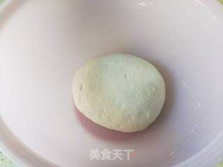 茴香包子的做法步骤：2