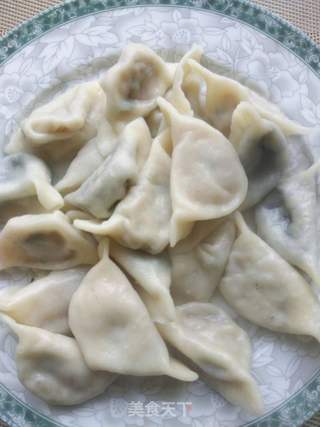 虾皮鲜肉水饺的做法步骤:11