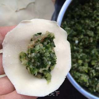 美味煎饺的做法步骤:5