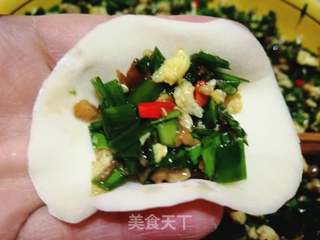 强烈推荐:平菇鸡蛋韭菜素饺的做法步骤:15