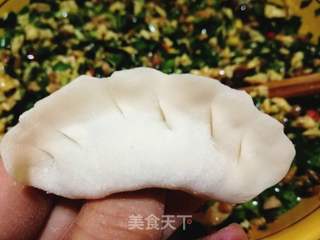 强烈推荐:平菇鸡蛋韭菜素饺的做法步骤:16