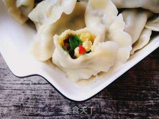 强烈推荐:平菇鸡蛋韭菜素饺的做法步骤:22