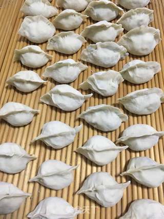 立冬的饺子:韭菜平菇鲜虾饺的做法步骤:27