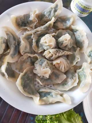 三鲜馅饺子的做法步骤:17
