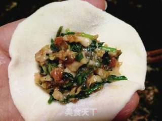 荠菜肉饺的做法步骤:14