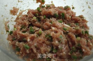 皮薄馅多，看了直流口水的千层肉饼的做法步骤：5