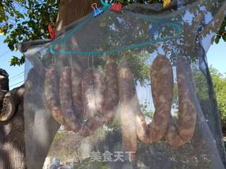 自制广式腊肠的做法步骤:13