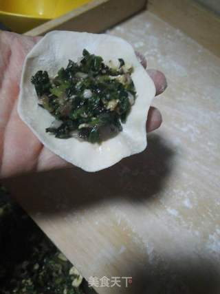 猪肉菠菜三鲜饺子的做法步骤:15