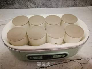 自制老酸奶的做法步骤:6